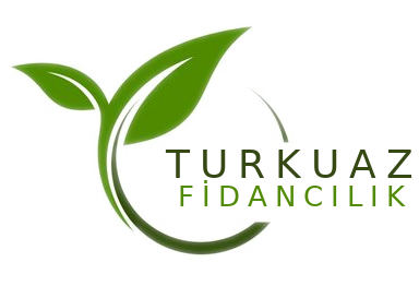 Turkuaz Fidancılık