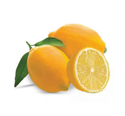 Mayer Limon Fidanı resmi