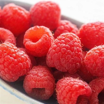 Picture of Ahududu Fidanı