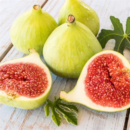 Picture of Sarı Lop 